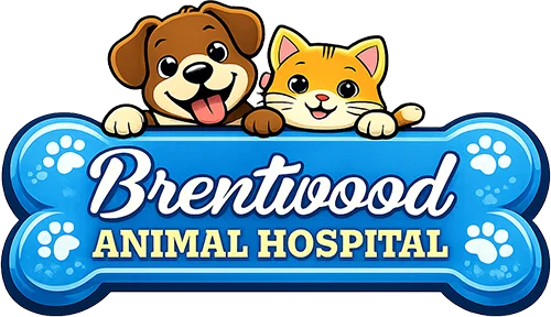 Brentwood Animal Hospital