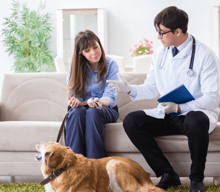 Brown adult dog with lady owner and vet