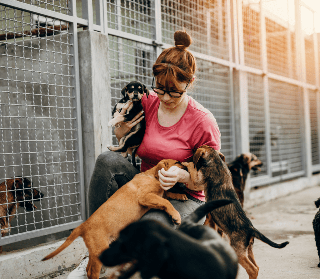 Shelter dogs hugging a lady in pink shirt