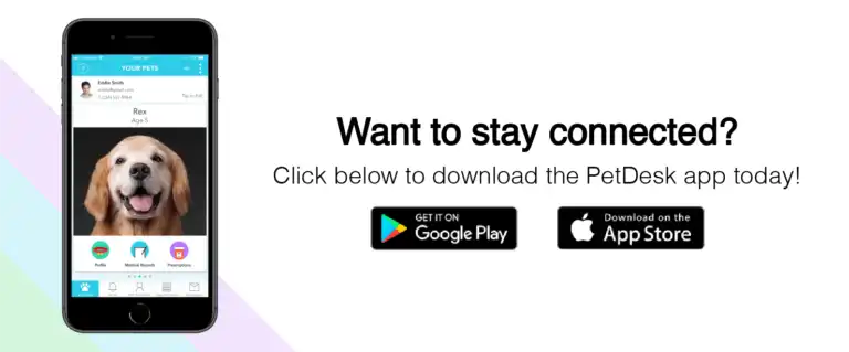 Want to stay connected? Click  to download the PetDesk app today!