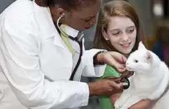 A veterinarian and a young girl examining a white cat.