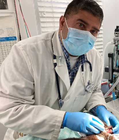 Dr. Rauf Ahmad