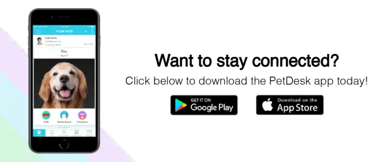 Want to stay connected? Click to download the PetDesk app today!