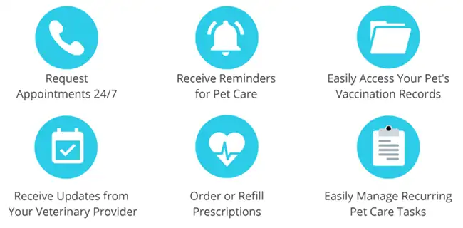 Pet care app icons showing appointments, reminders, records, updates, prescriptions, and tasks.