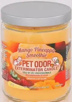 Pet Odor Candles with different scents