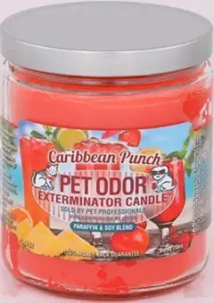 Pet Odor Candles with different scents