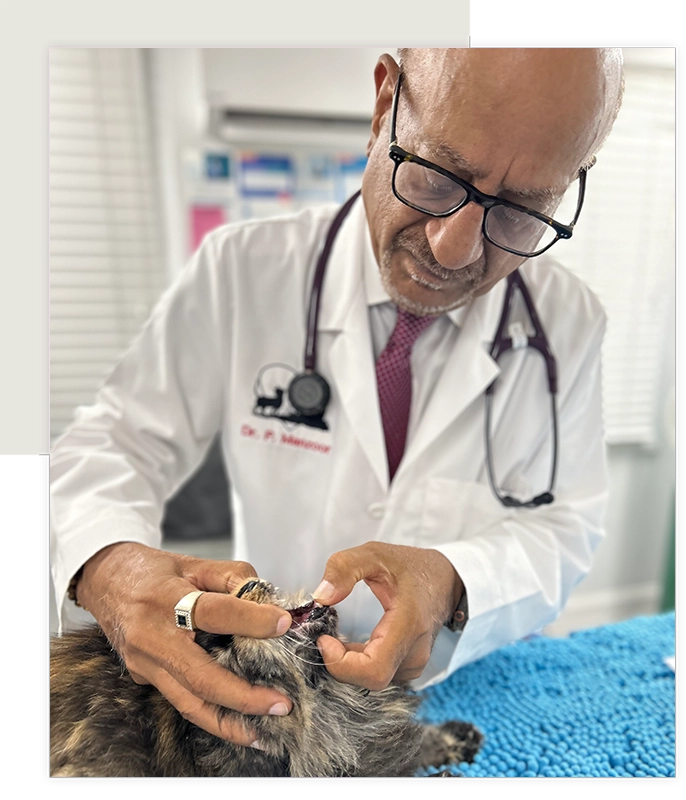 Dr. Pervaiz Manzoor